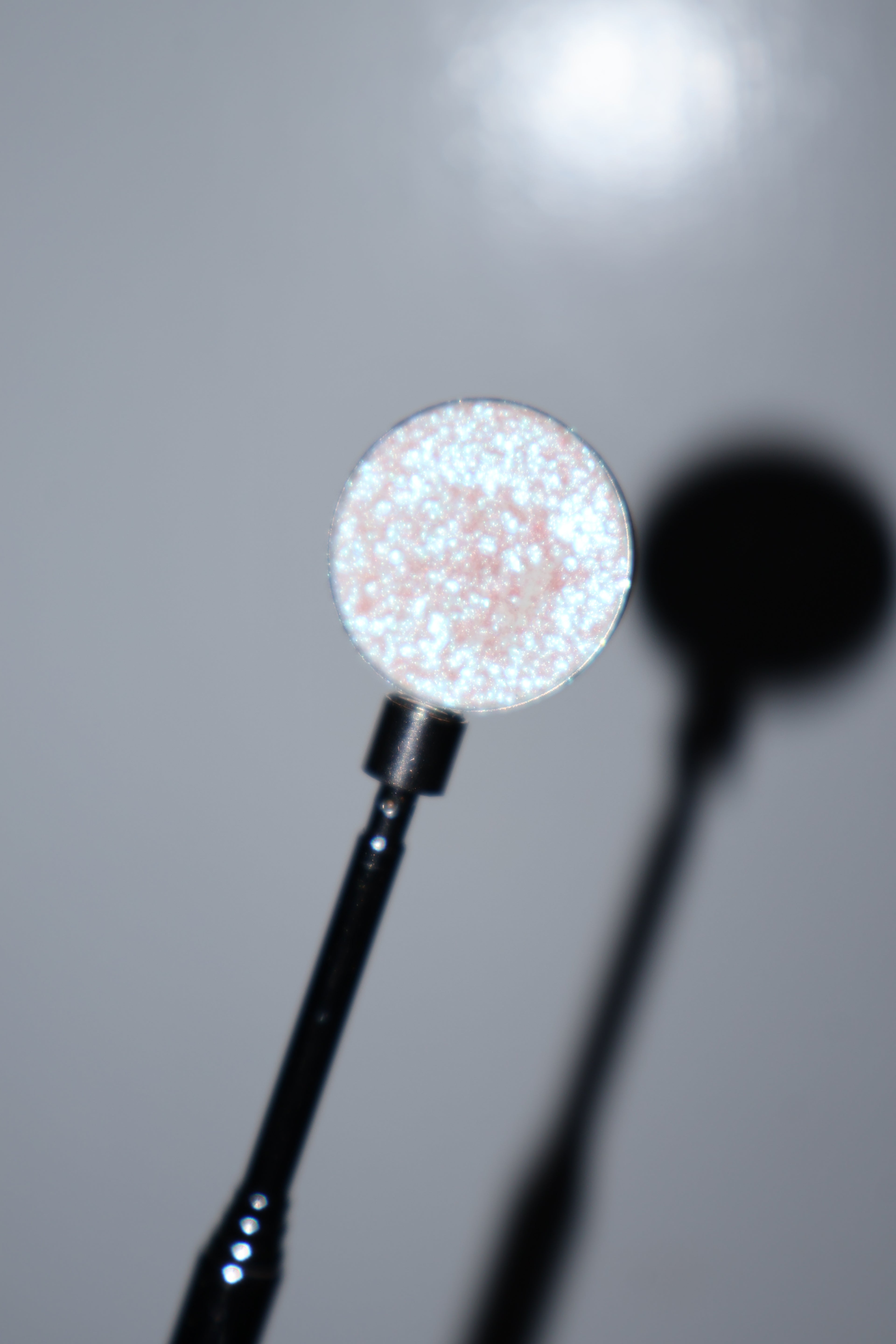 Bioluminescence Multichrome