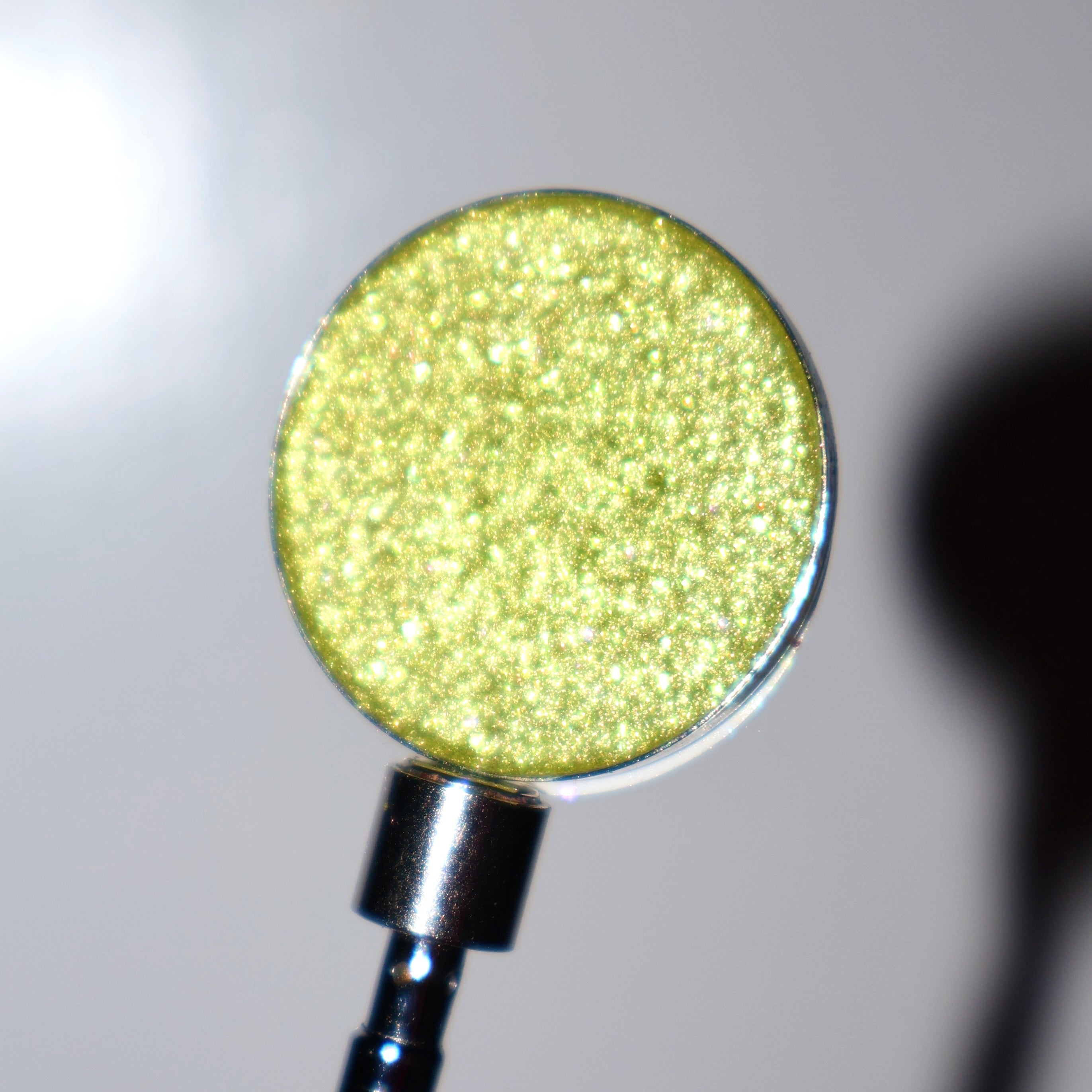 Chlorophyll Multichrome