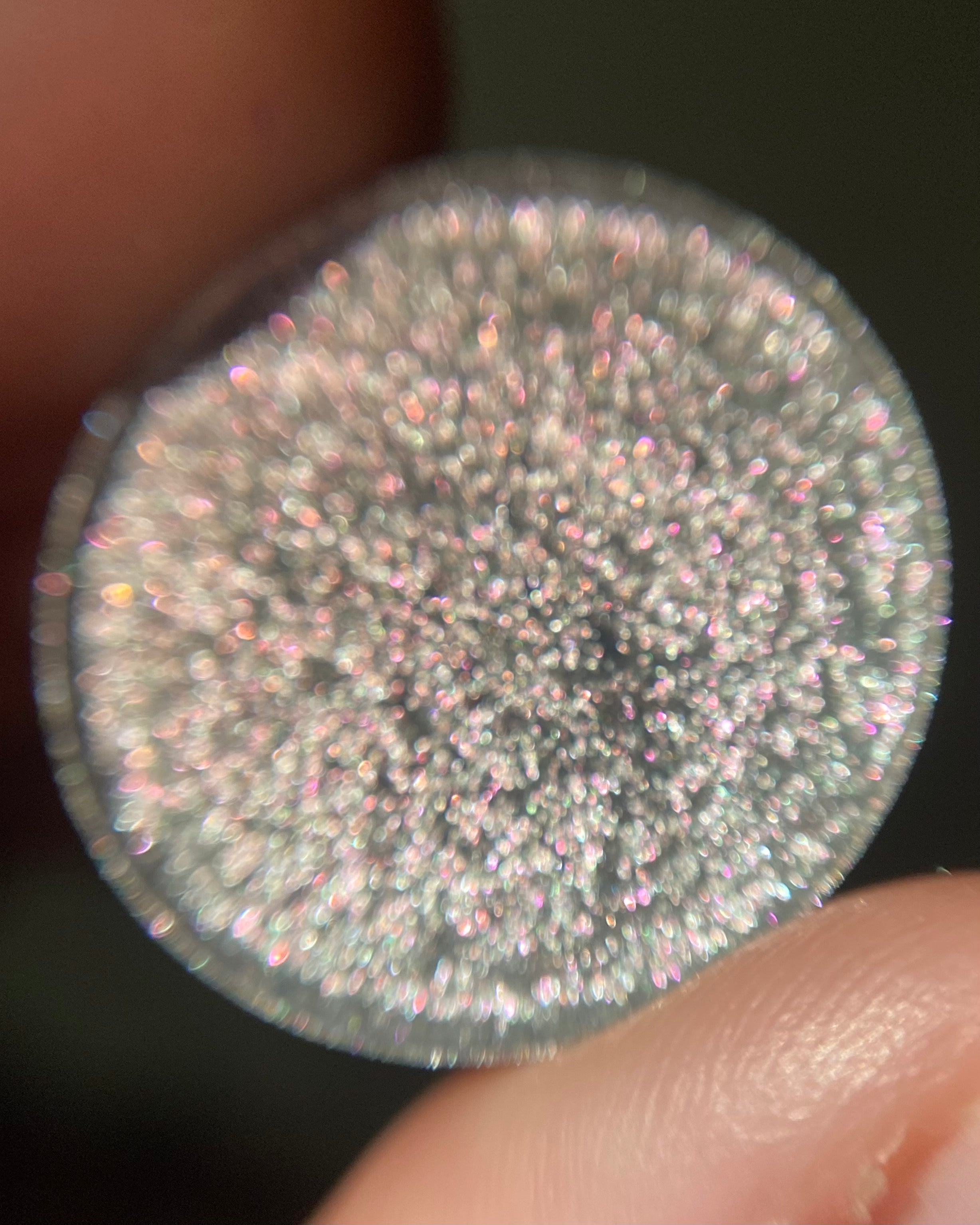 Asteroid Multichrome