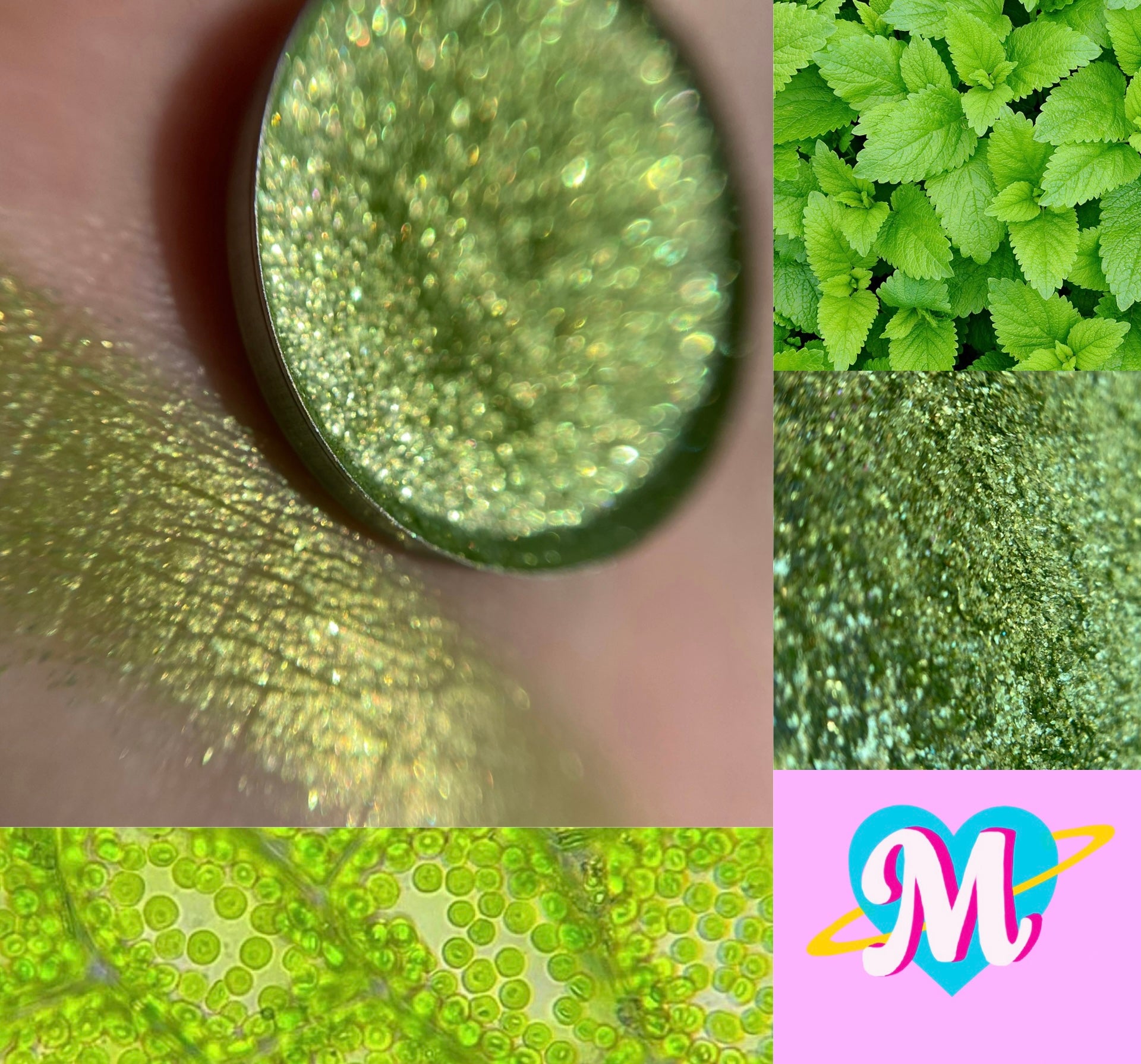 Chlorophyll Multichrome